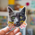Hypno Cat Sticker